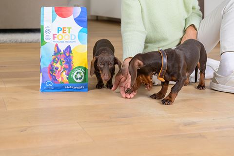 Wiener dogs being fed with Dry Pet Food